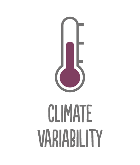 Climate Variability